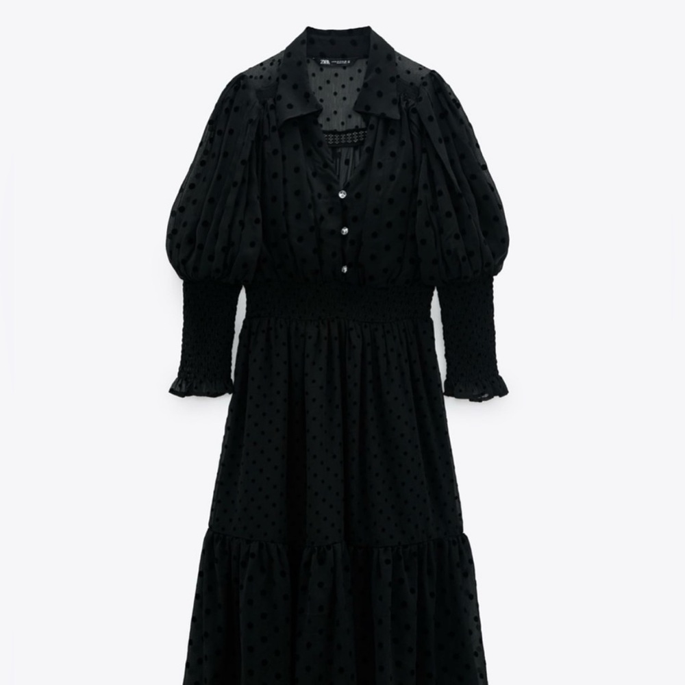 ZARA Embroidered Swiss Dot Sheer Black Midi Dress